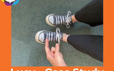 Lucy – Case Study